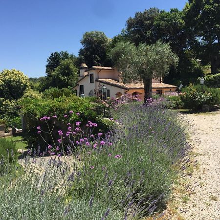 Olivella Villa Campagnano Di Roma Ngoại thất bức ảnh