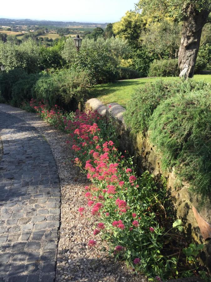 Olivella Villa Campagnano Di Roma Ngoại thất bức ảnh
