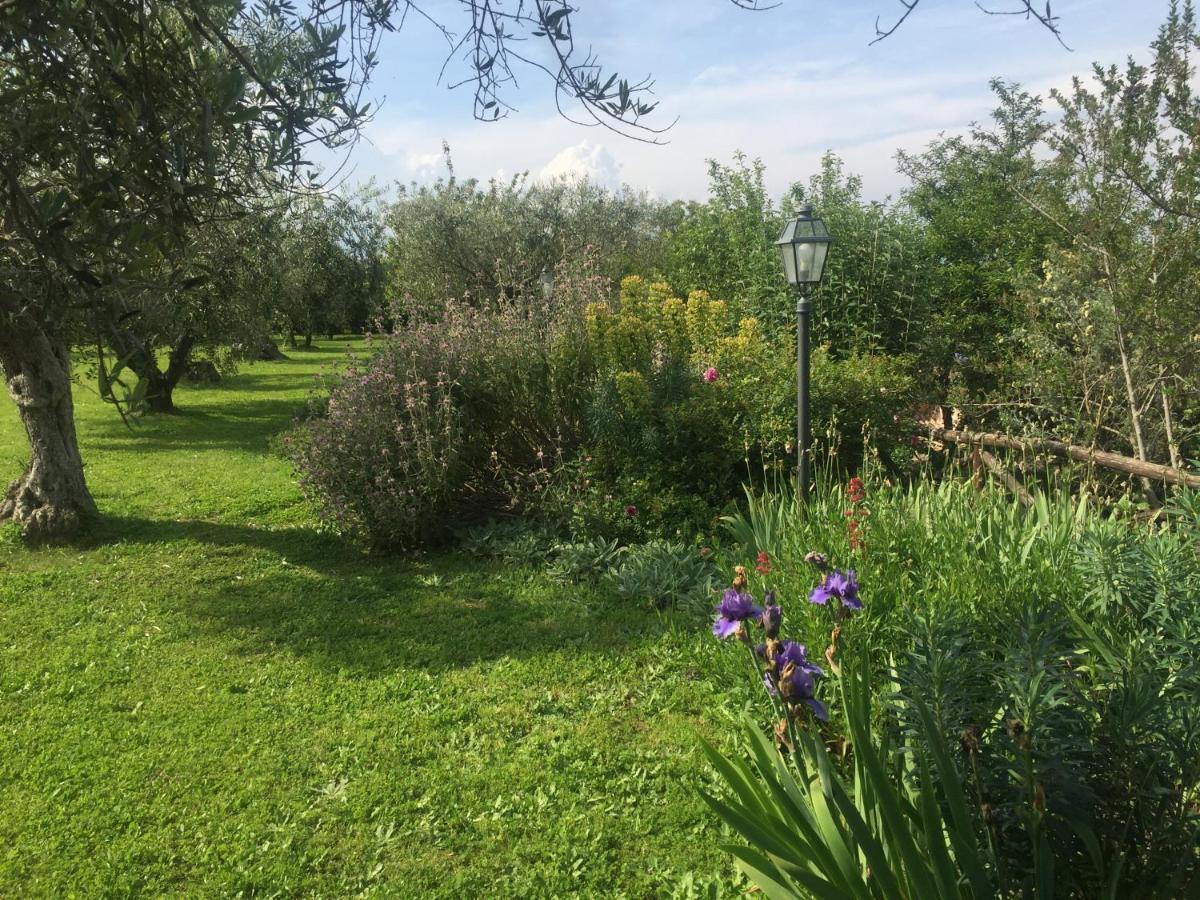 Olivella Villa Campagnano Di Roma Ngoại thất bức ảnh