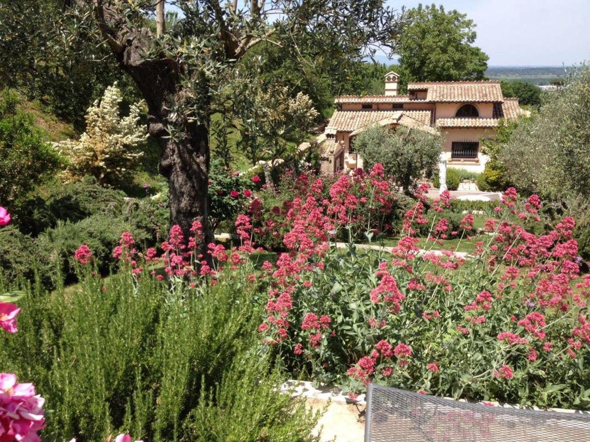 Olivella Villa Campagnano Di Roma Ngoại thất bức ảnh