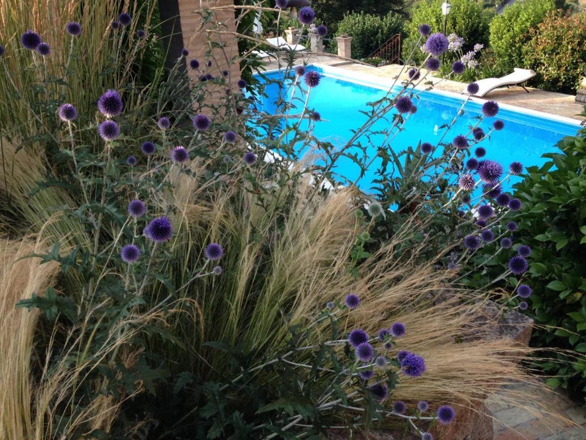 Olivella Villa Campagnano Di Roma Ngoại thất bức ảnh